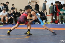 В Одесском прошел 20-й турнир по греко-римской борьбе "Молодёжь за здоровый образ жизни"