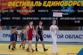 Итоги первенства Омска среди младших юношей в рамках VI «Фестиваля единоборств»