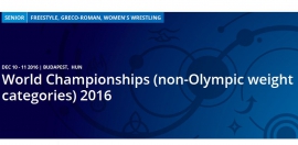Чемпионат мира в неолимпийских категориях (10-11.12.2016, Будапешт)