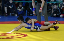 Омские борцы завоевали девять медалей на тюменском турнире
