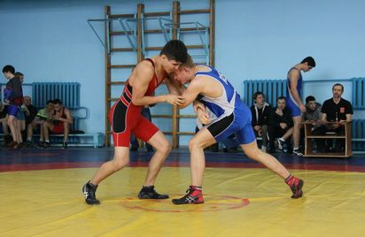 Итоги XXIV Мемориала  Сергея Игнатенко по греко-римской борьбе