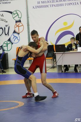 Турнир на призы В.В. Чебоксарова (2016, Тюмень)